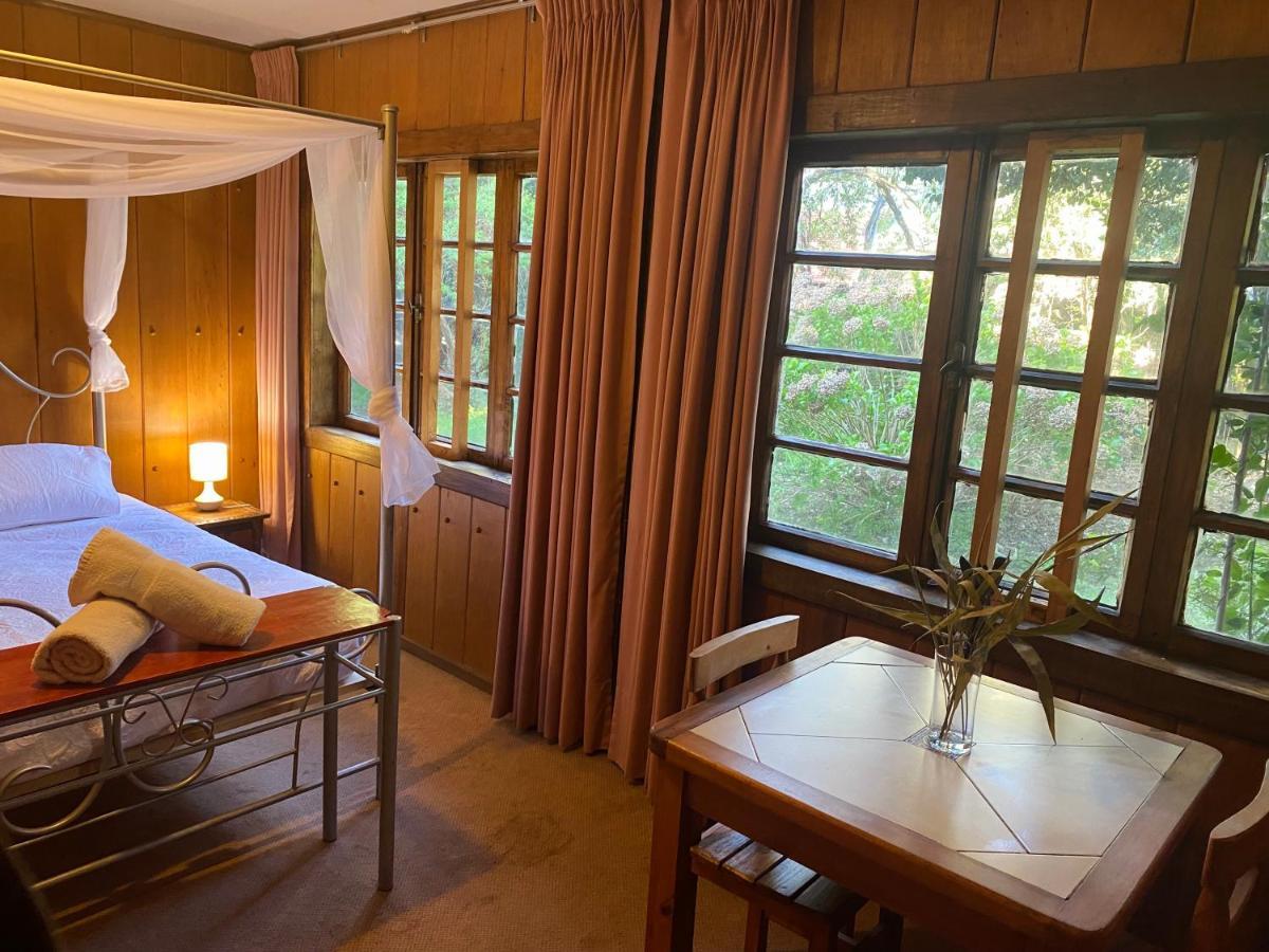Alma Nativa Hostel Pucón Eksteriør billede