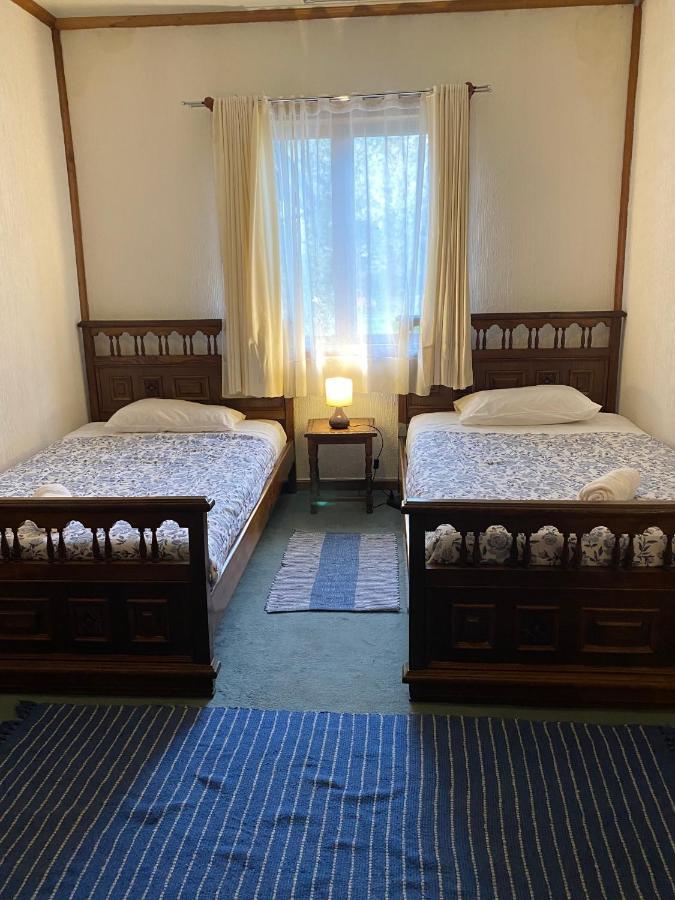 Alma Nativa Hostel Pucón Eksteriør billede