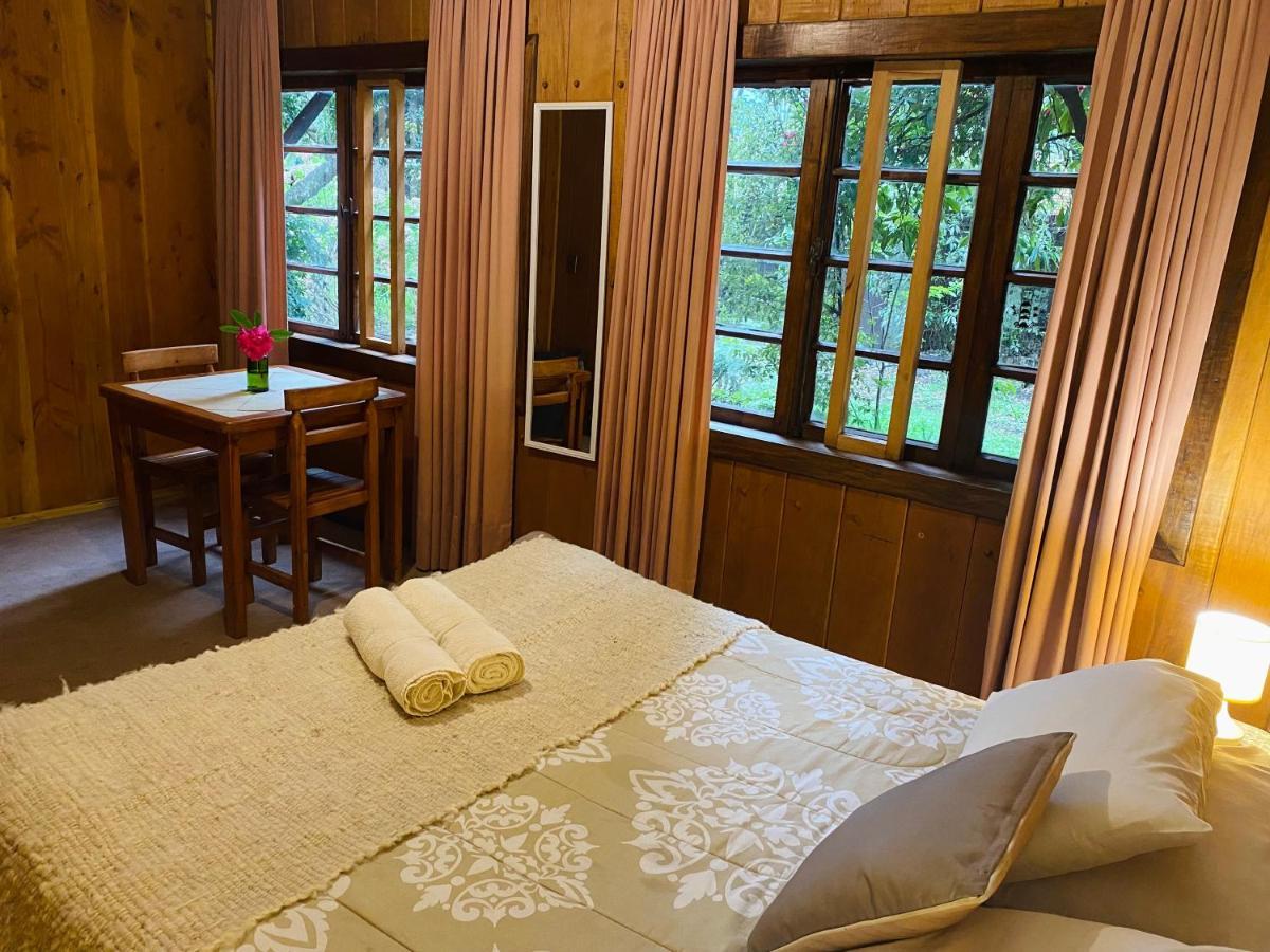 Alma Nativa Hostel Pucón Eksteriør billede