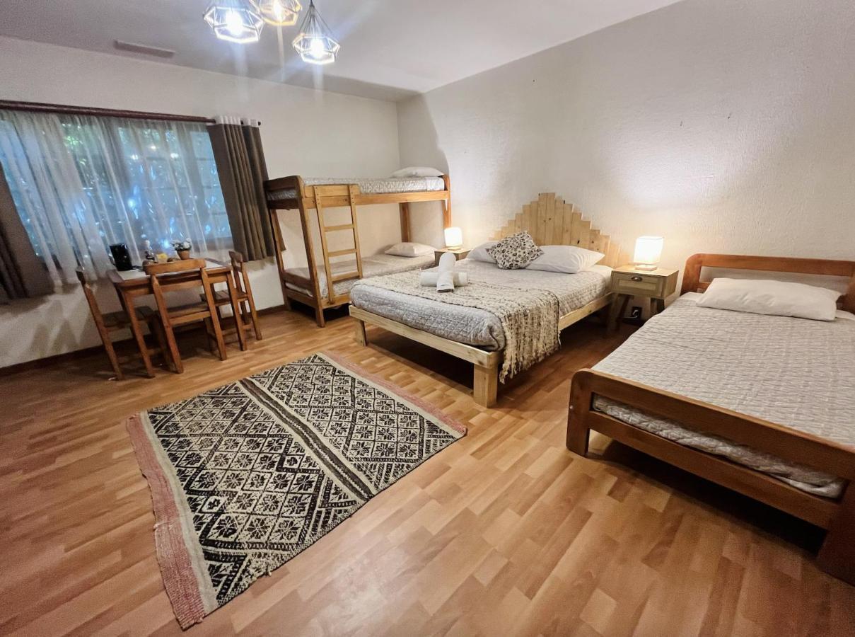 Alma Nativa Hostel Pucón Eksteriør billede