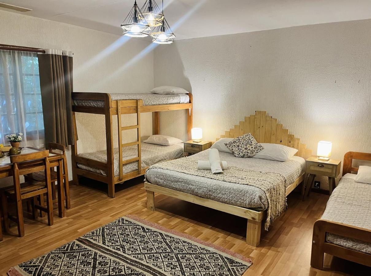 Alma Nativa Hostel Pucón Eksteriør billede